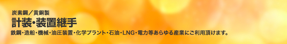 炭素鋼。計装・装置継手